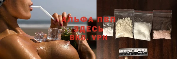 Альфа ПВП Верея