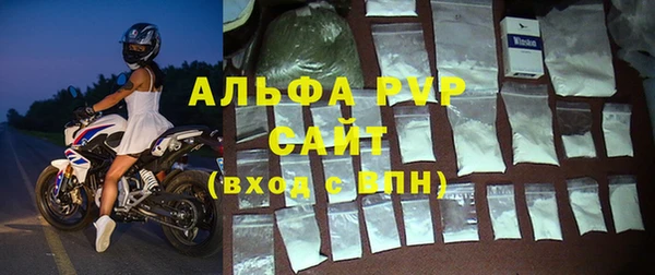 Альфа ПВП Верея