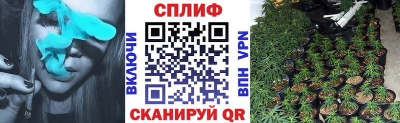 Купить  Спасск-Дальний  Шишки марихуана OG Kush 